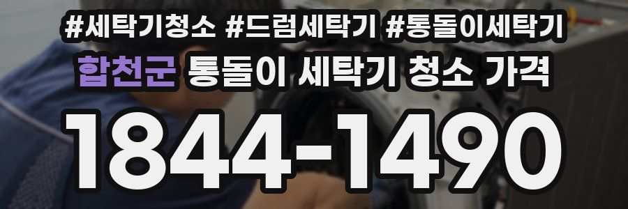 합천군 통돌이 세탁기 청소 가격