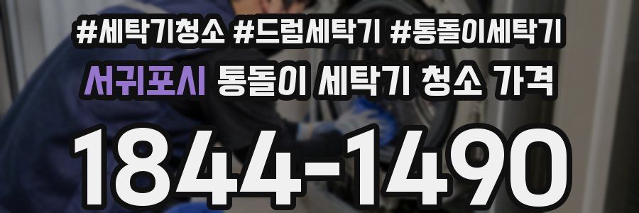 서귀포시 통돌이 세탁기 청소 가격