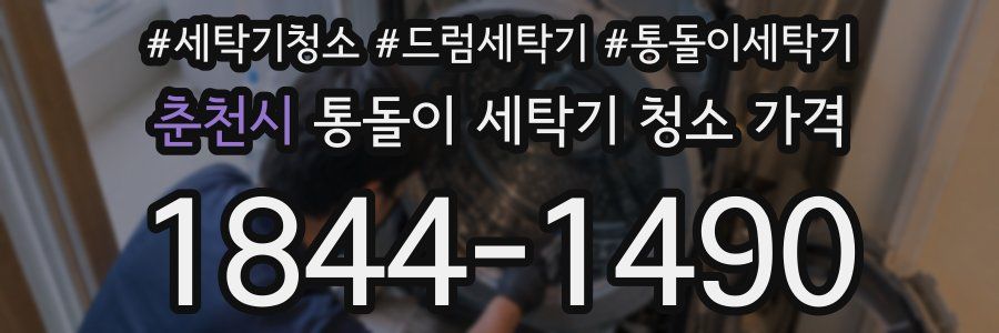 춘천시 통돌이 세탁기 청소 가격