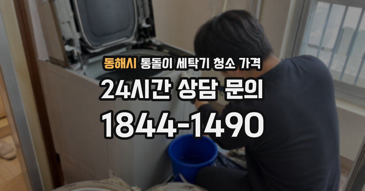 동해시 통돌이 세탁기 청소 가격