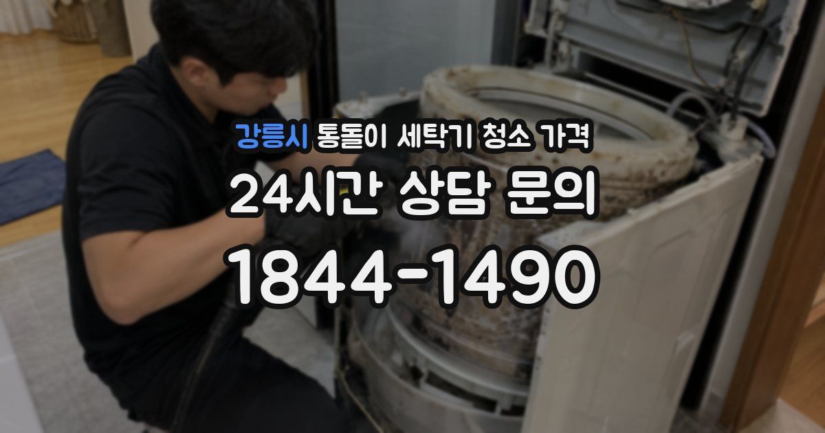 강릉시 통돌이 세탁기 청소 가격