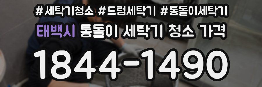 태백시 통돌이 세탁기 청소 가격