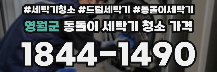 영월군 통돌이 세탁기 청소 가격