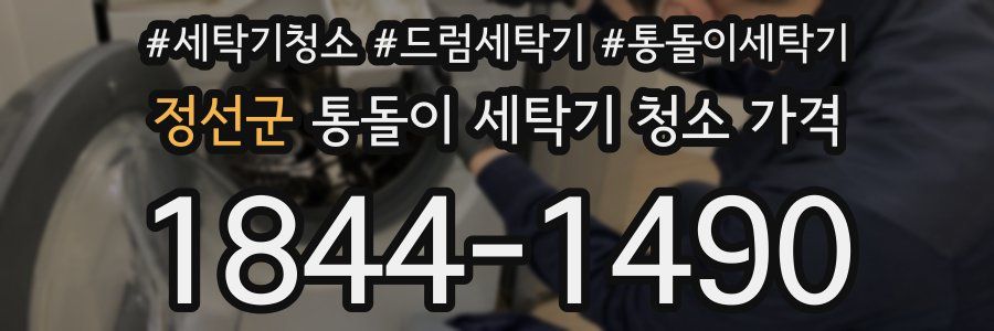정선군 통돌이 세탁기 청소 가격