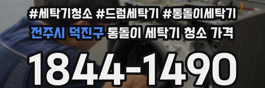 전주시 덕진구 통돌이 세탁기 청소 가격