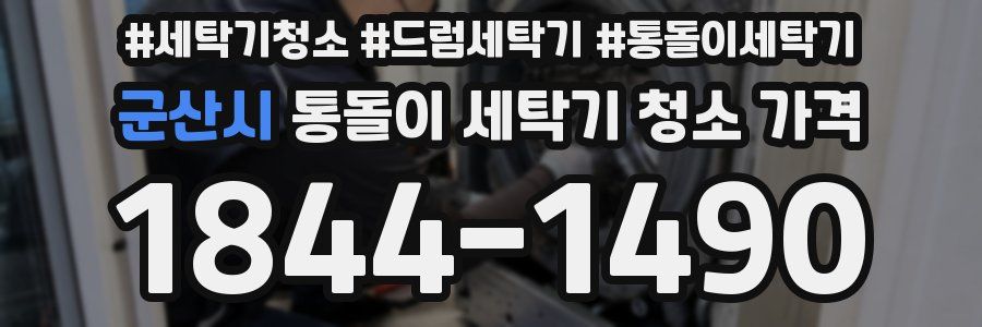 군산시 통돌이 세탁기 청소 가격