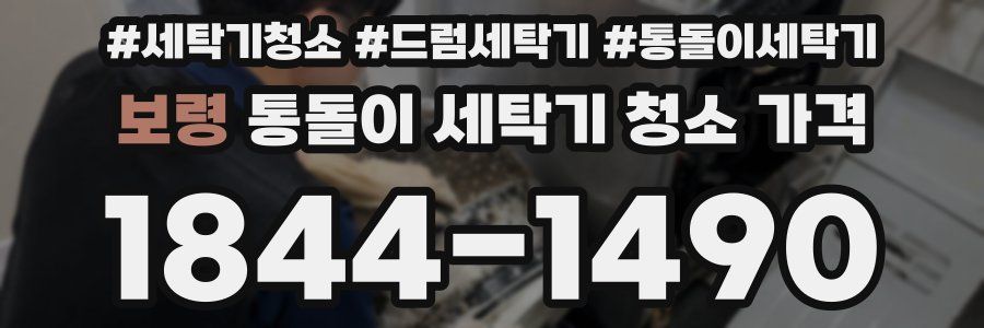 보령 통돌이 세탁기 청소 가격