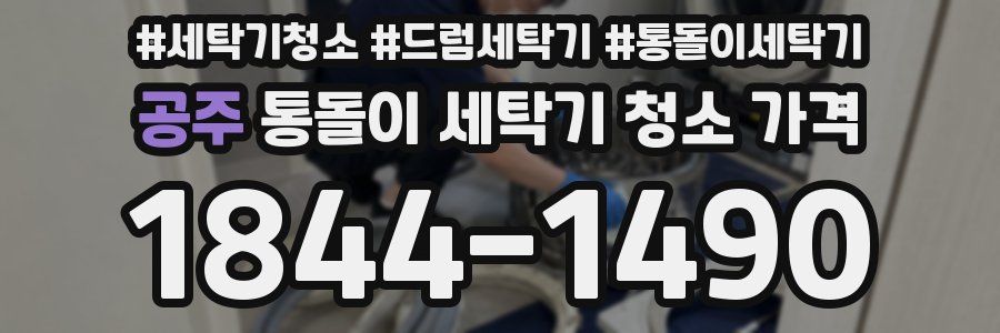 공주 통돌이 세탁기 청소 가격