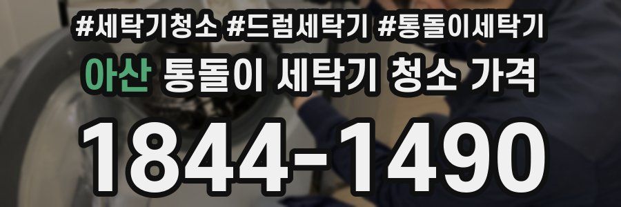 아산 통돌이 세탁기 청소 가격