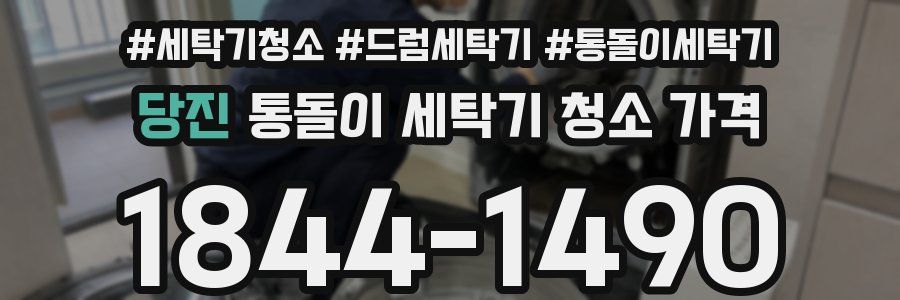 당진 통돌이 세탁기 청소 가격