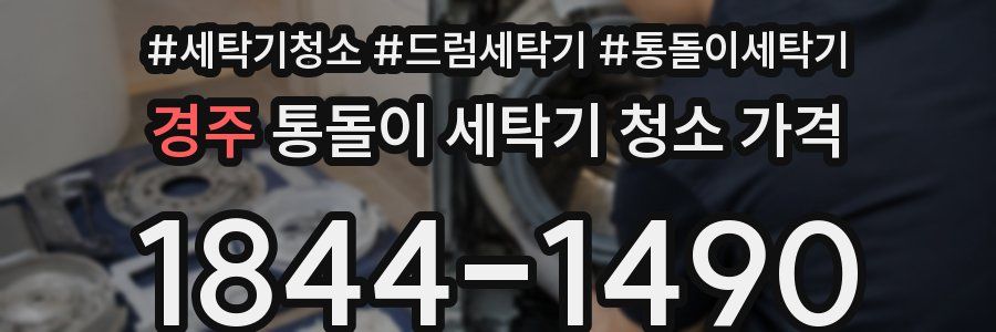 경주 통돌이 세탁기 청소 가격