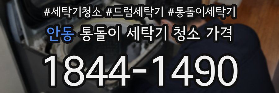 안동 통돌이 세탁기 청소 가격