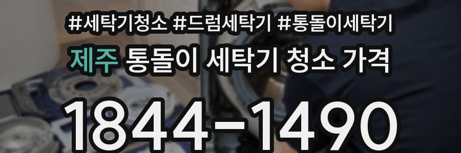 제주 통돌이 세탁기 청소 가격