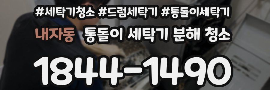 내자동 통돌이 세탁기 분해 청소