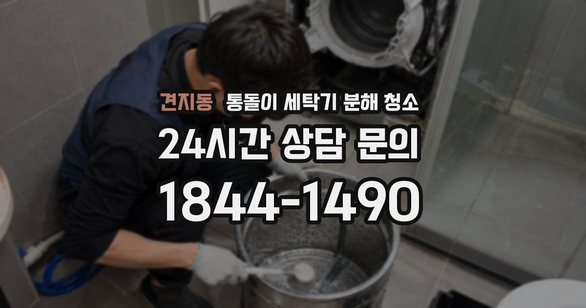 견지동 통돌이 세탁기 분해 청소