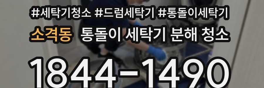 소격동 통돌이 세탁기 분해 청소