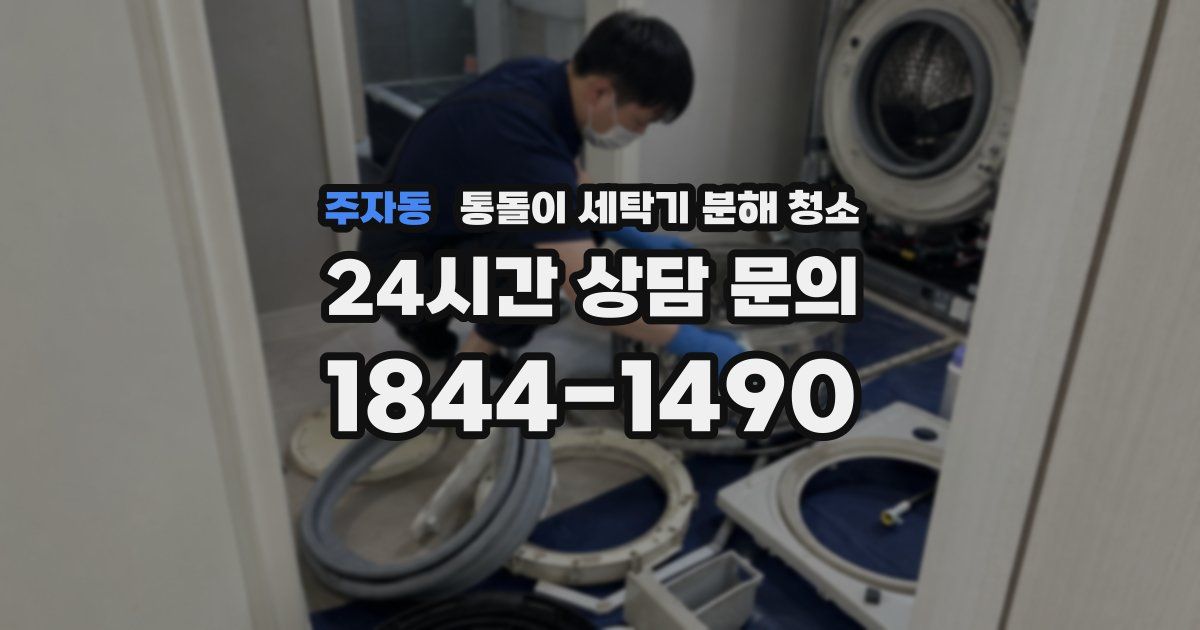 주자동 통돌이 세탁기 분해 청소