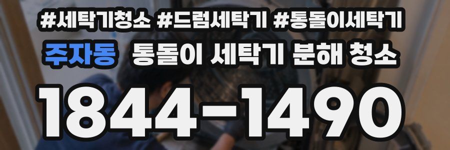 주자동 통돌이 세탁기 분해 청소
