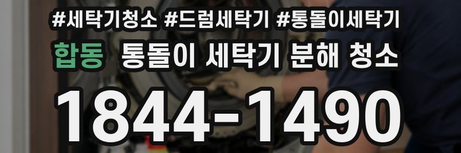 합동 통돌이 세탁기 분해 청소