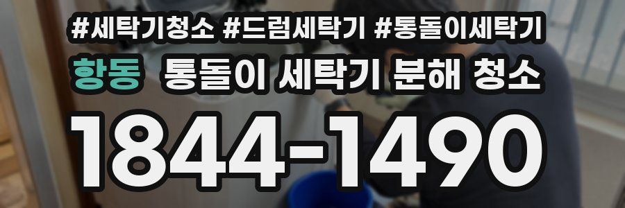 항동 통돌이 세탁기 분해 청소