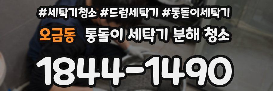 오금동 통돌이 세탁기 분해 청소