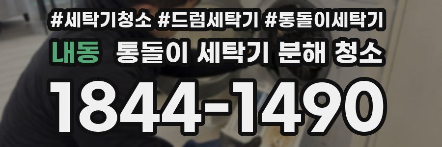 내동 통돌이 세탁기 분해 청소