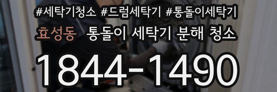 효성동 통돌이 세탁기 분해 청소