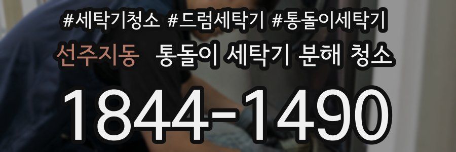 선주지동 통돌이 세탁기 분해 청소