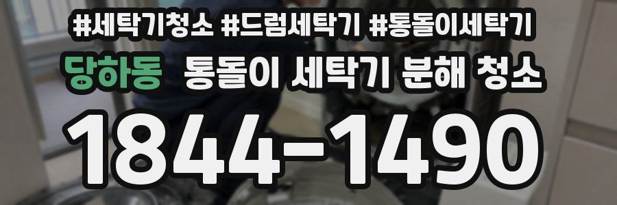 당하동 통돌이 세탁기 분해 청소