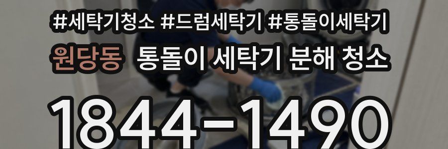 원당동 통돌이 세탁기 분해 청소