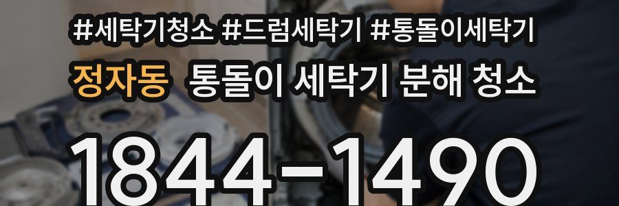 정자동 통돌이 세탁기 분해 청소