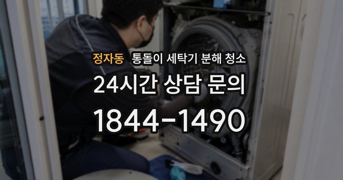 정자동 통돌이 세탁기 분해 청소