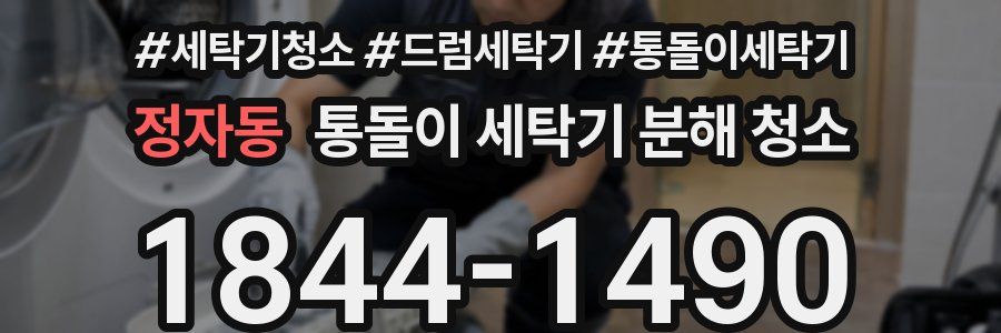 정자동 통돌이 세탁기 분해 청소