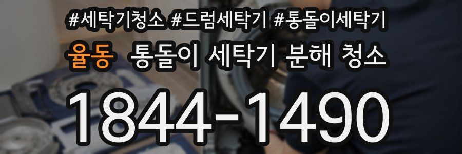 율동 통돌이 세탁기 분해 청소