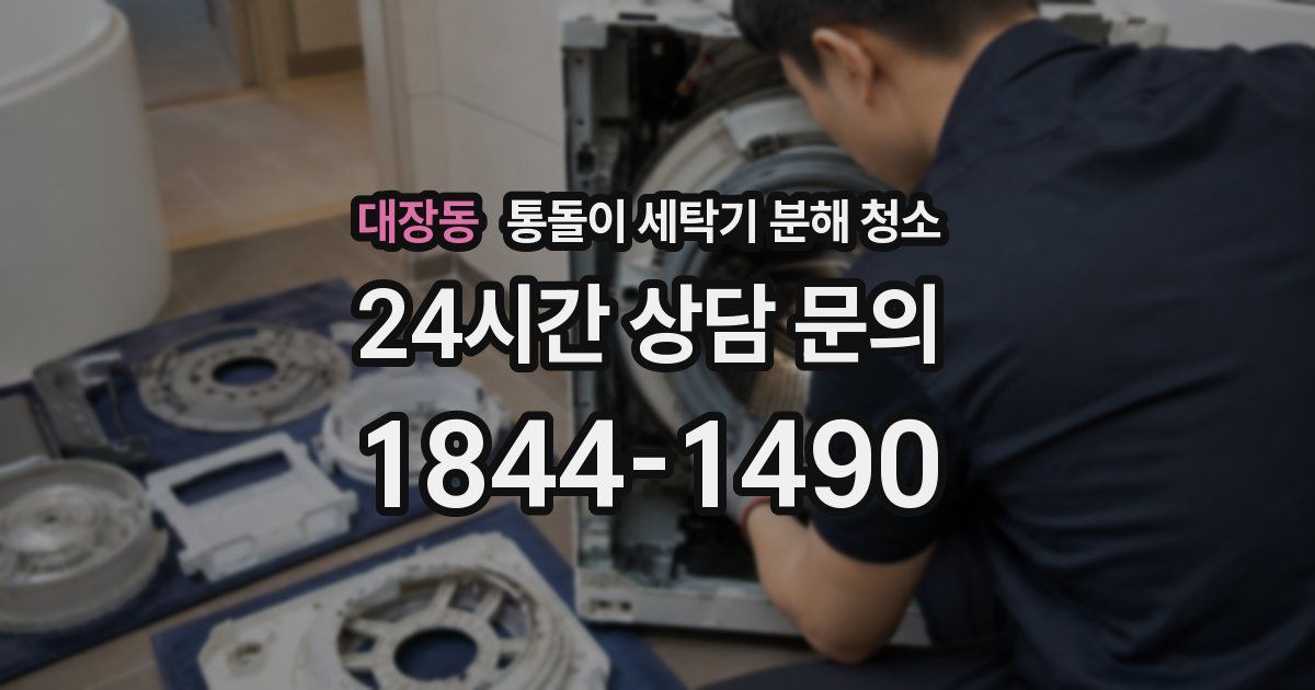 대장동 통돌이 세탁기 분해 청소