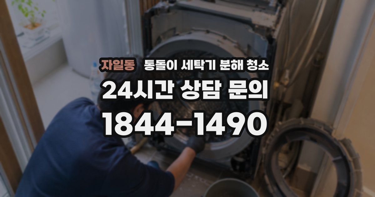 자일동 통돌이 세탁기 분해 청소