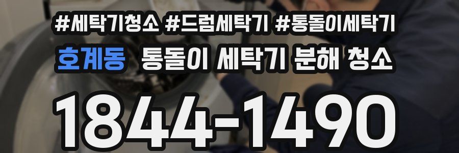 호계동 통돌이 세탁기 분해 청소