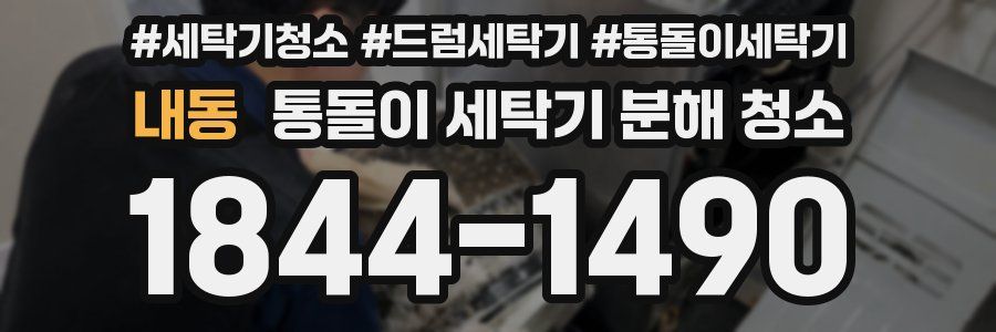 내동 통돌이 세탁기 분해 청소