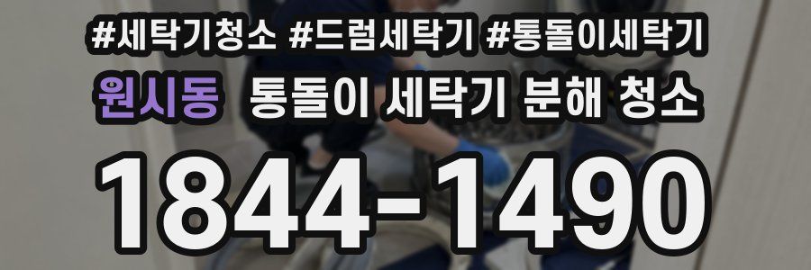 원시동 통돌이 세탁기 분해 청소