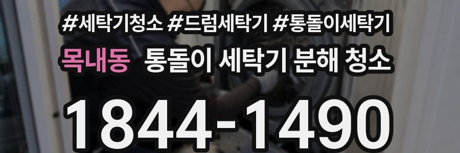 목내동 통돌이 세탁기 분해 청소