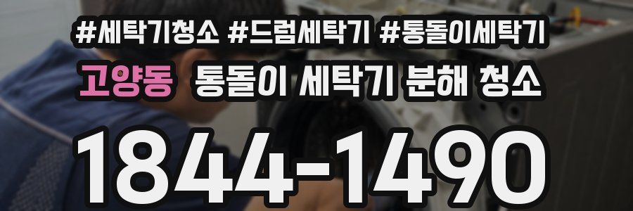 고양동 통돌이 세탁기 분해 청소
