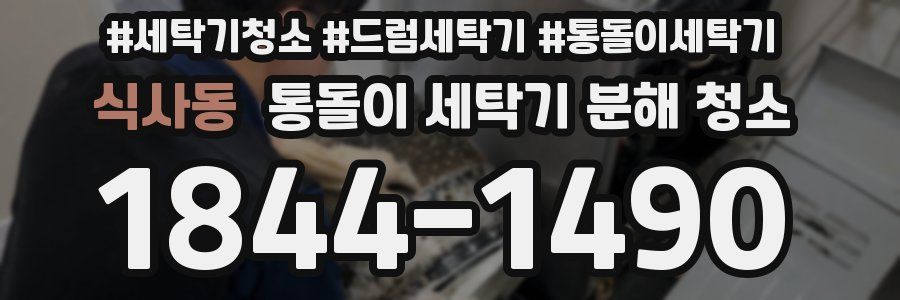 식사동 통돌이 세탁기 분해 청소
