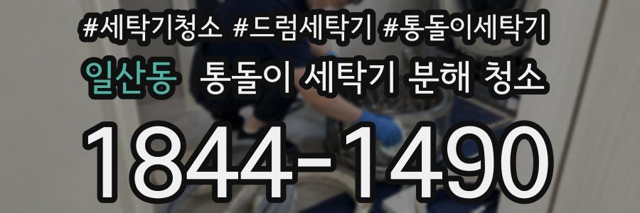 일산동 통돌이 세탁기 분해 청소