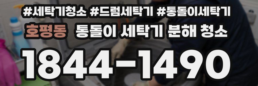 호평동 통돌이 세탁기 분해 청소