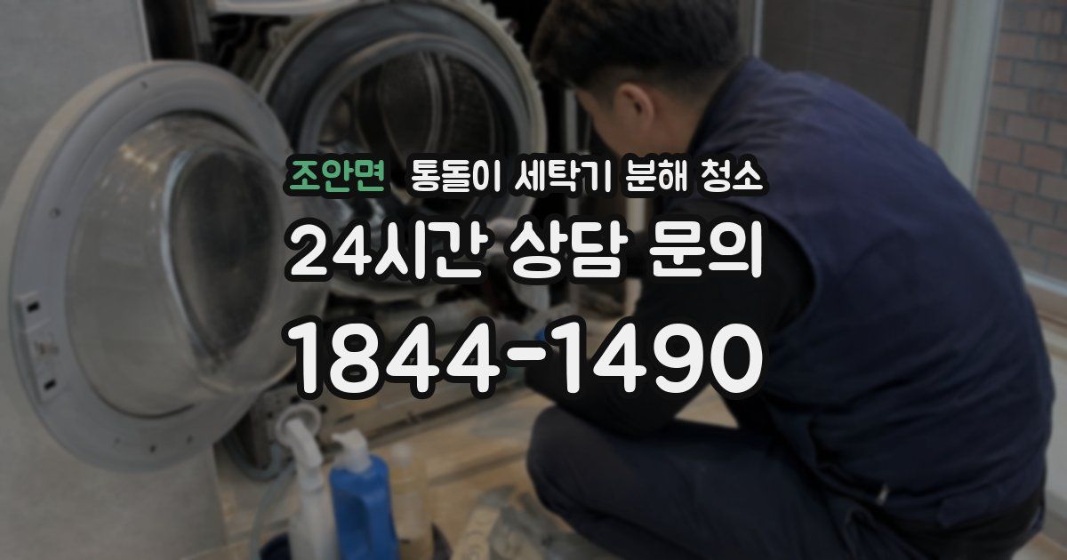 조안면 통돌이 세탁기 분해 청소