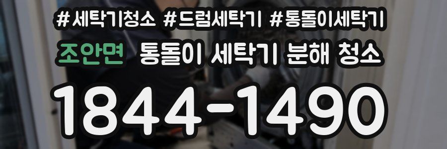 조안면 통돌이 세탁기 분해 청소