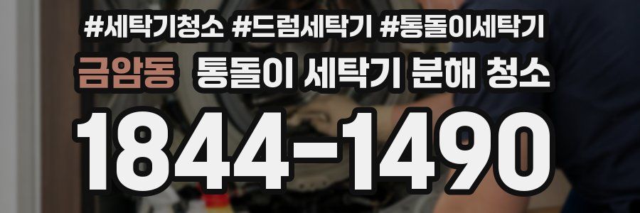 금암동 통돌이 세탁기 분해 청소