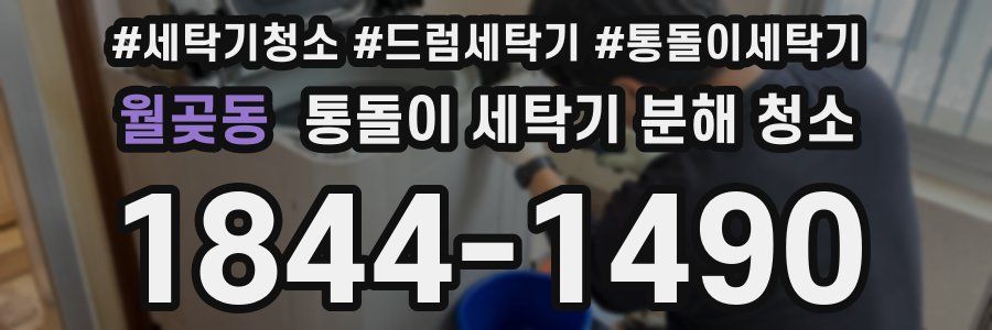 월곶동 통돌이 세탁기 분해 청소