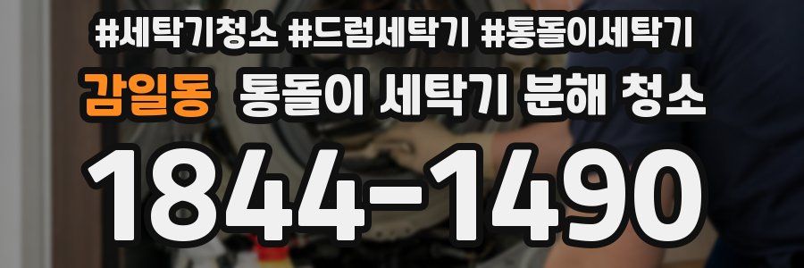 감일동 통돌이 세탁기 분해 청소