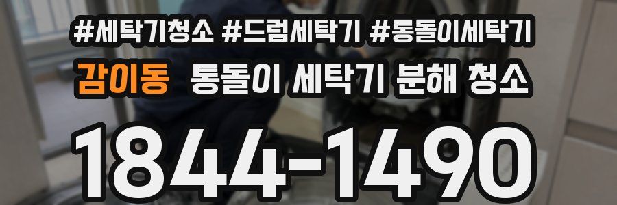 감이동 통돌이 세탁기 분해 청소
